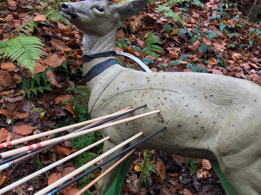 EPINAL 3D DU 14/11/2021